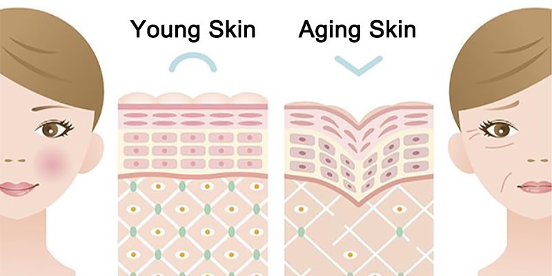 sepiwhite msh powder Anti-Aging